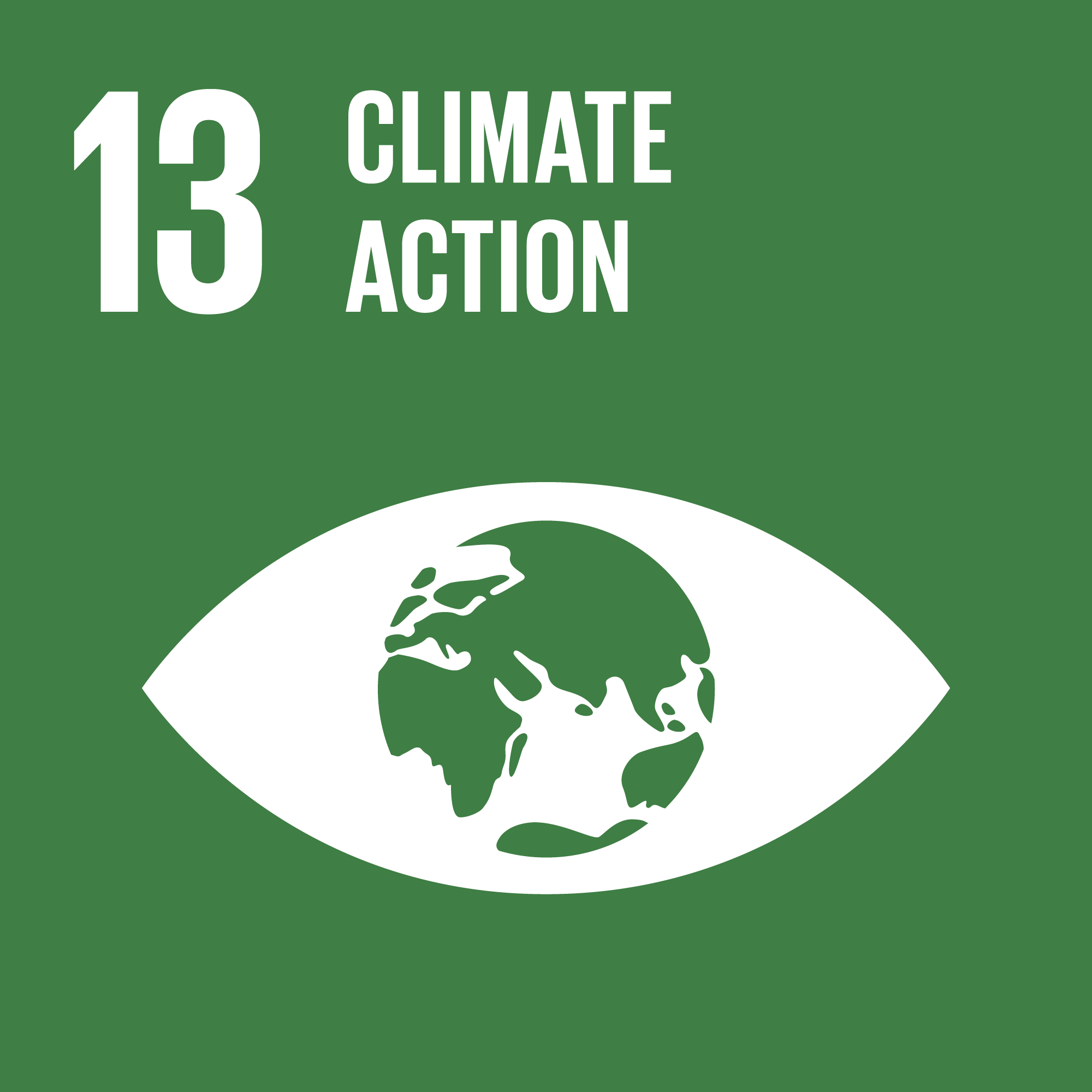 Global Goals 13