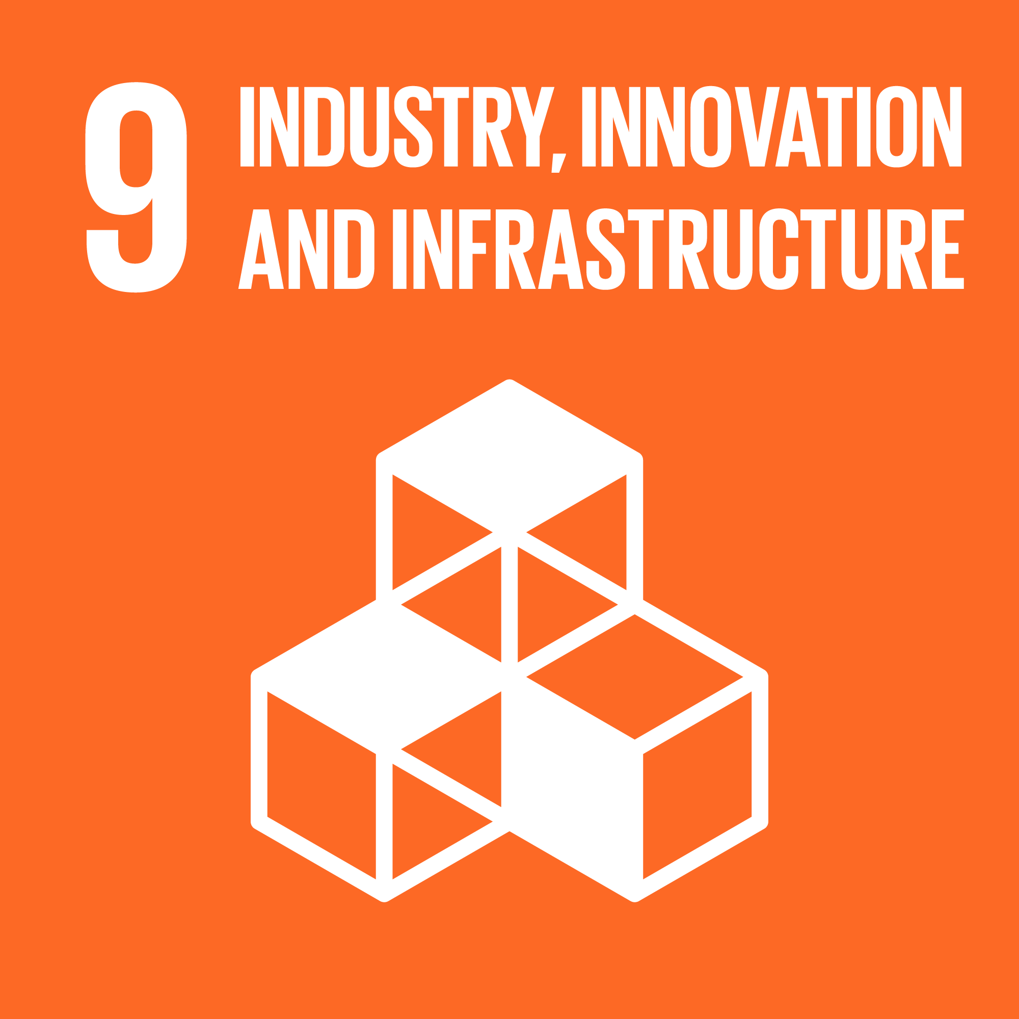 Global Goals 9